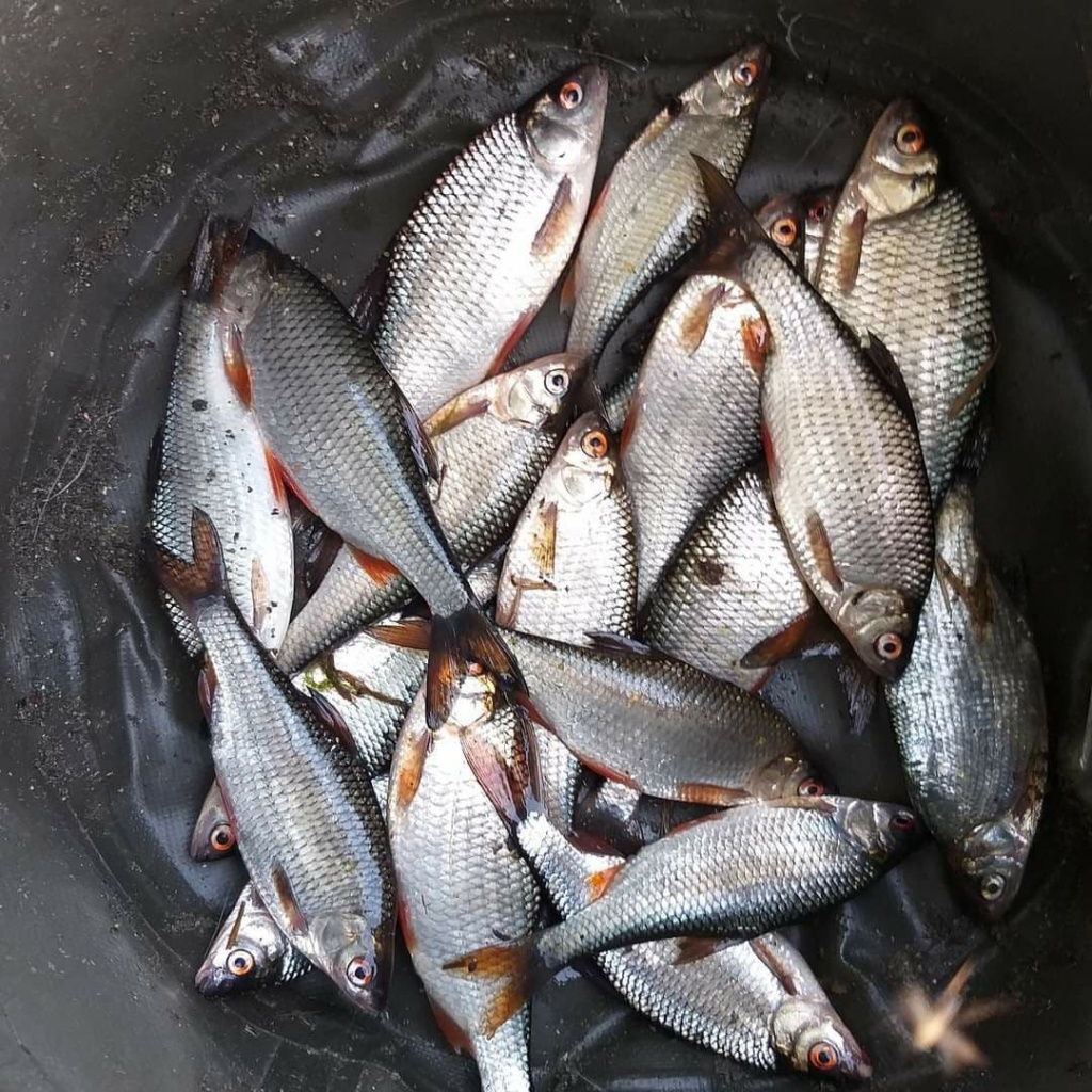 Ходовая ловля фидером по холодной воде весной (1).jpg